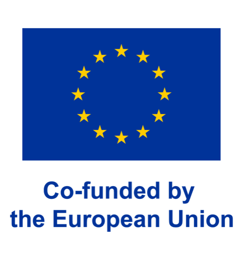 Co-funded by the European Union